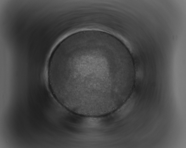 X0000100341514200806191013