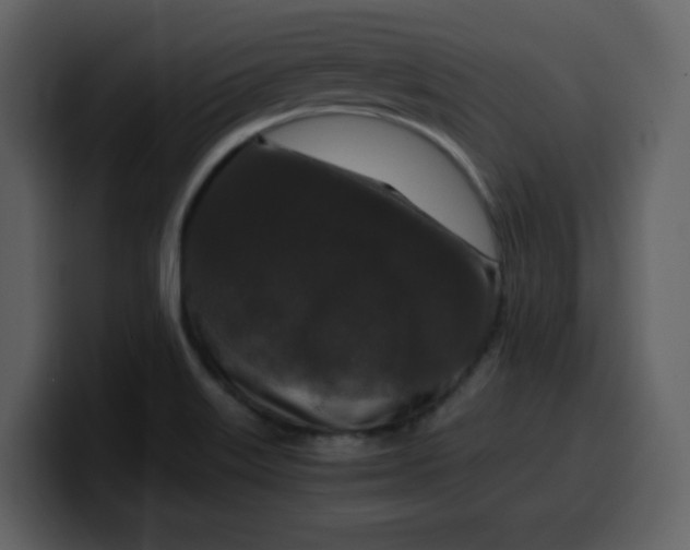 X0000100341515200806191013