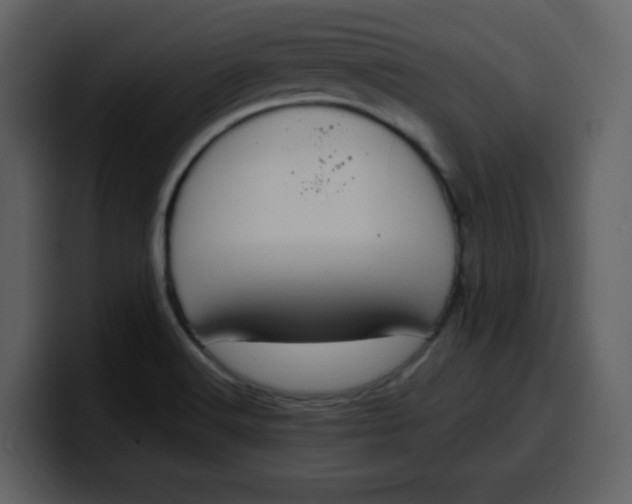 X0000100341516200806191013