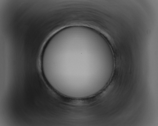 X0000100341517200806191013