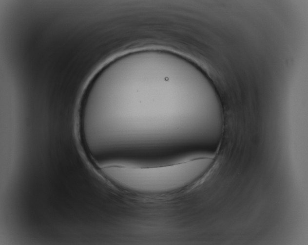 X0000100341518200806191013