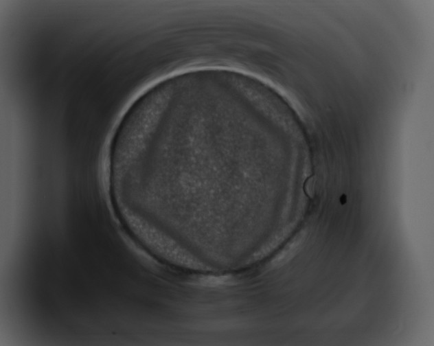 X0000100341519200806191013