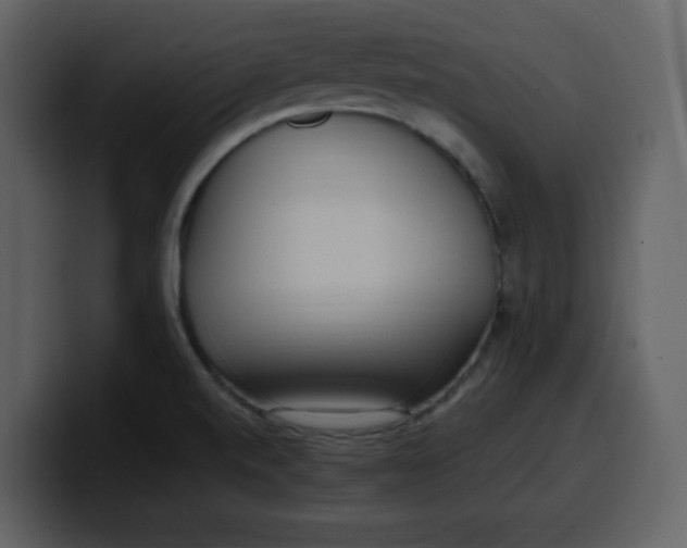 X0000100341520200806191013