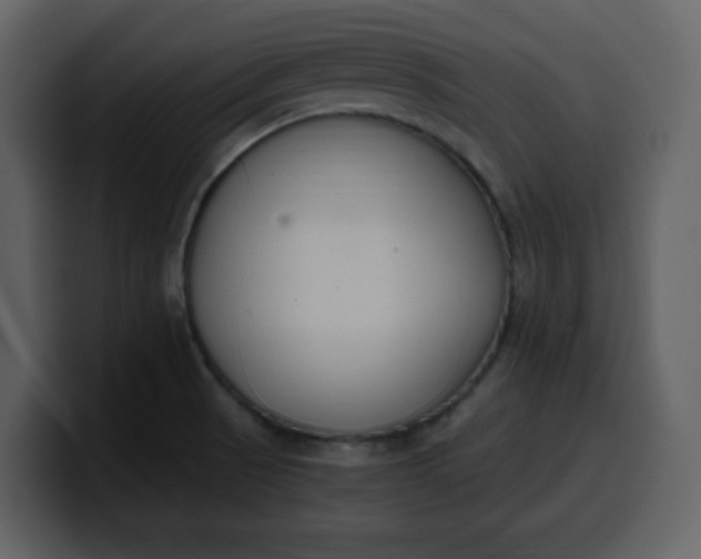 X0000100341521200806191013