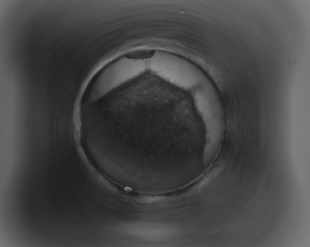 X0000100341522200806191013