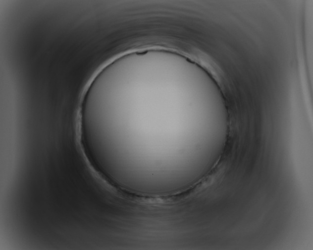 X0000100341524200806191013