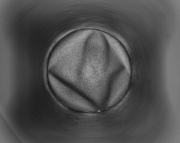 X0000100341525200806191013