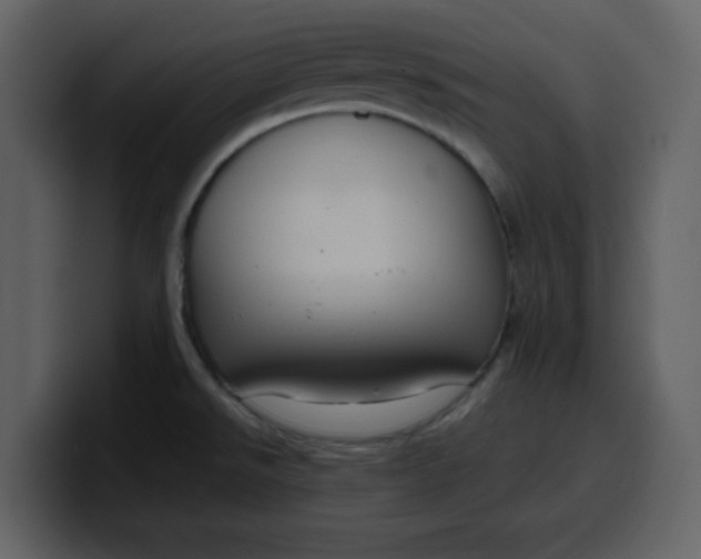 X0000100341526200806191013