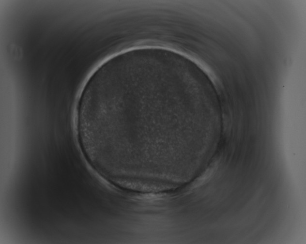 X0000100341527200806191013