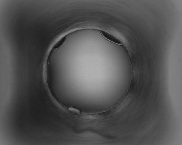 X0000100341528200806191013