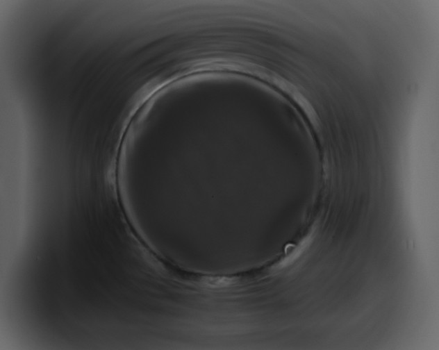 X0000100341529200806191013