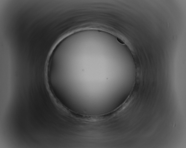 X0000100341530200806191013