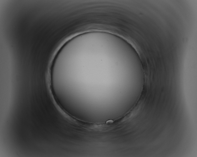 X0000100341531200806191013