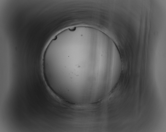 X0000100341532200806191014