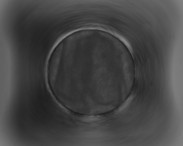 X0000100341533200806191014