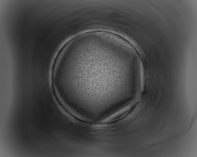 X0000100341535200806191014