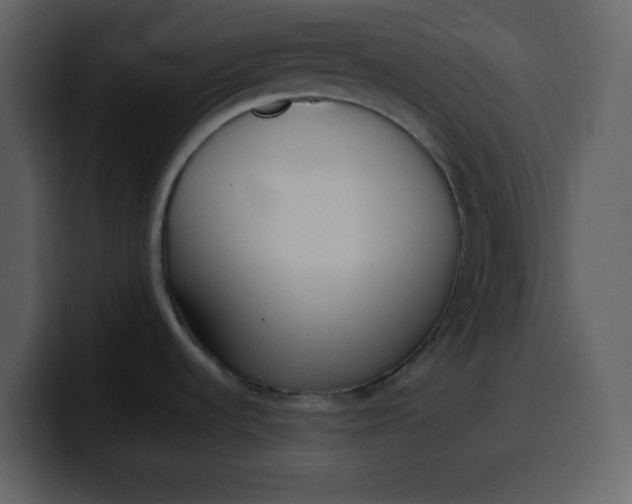 X0000100341536200806191014