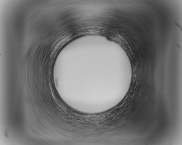 X0000100340001200806261338