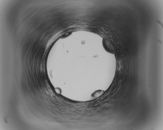 X0000100340004200806261338