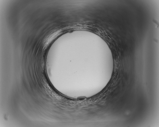 X0000100340005200806261338