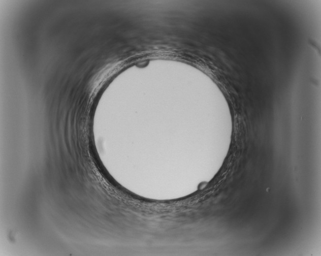 X0000100340007200806261338