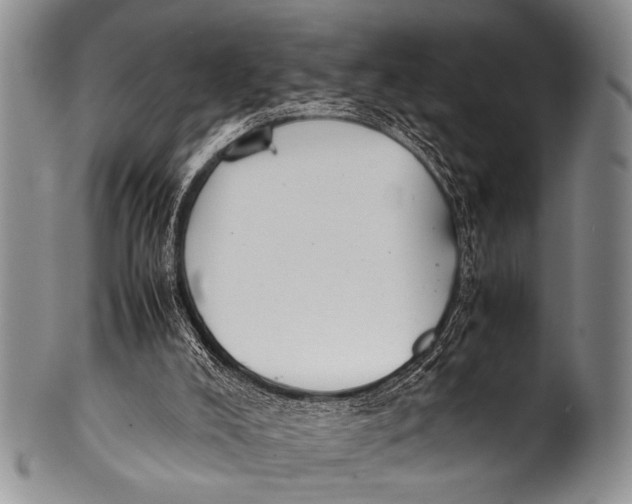 X0000100340008200806261338