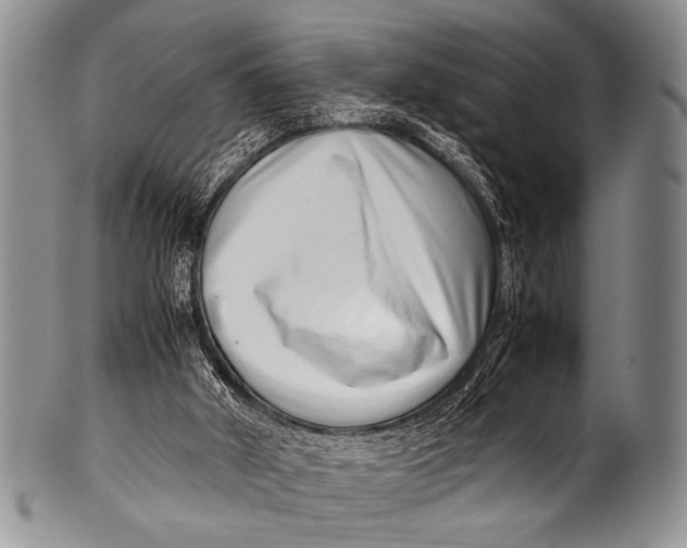 X0000100340010200806261338