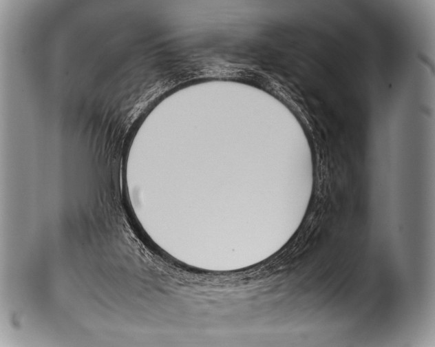 X0000100340011200806261338