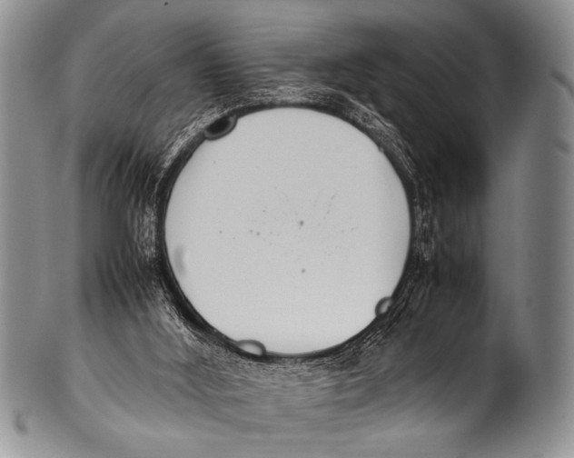 X0000100340012200806261338