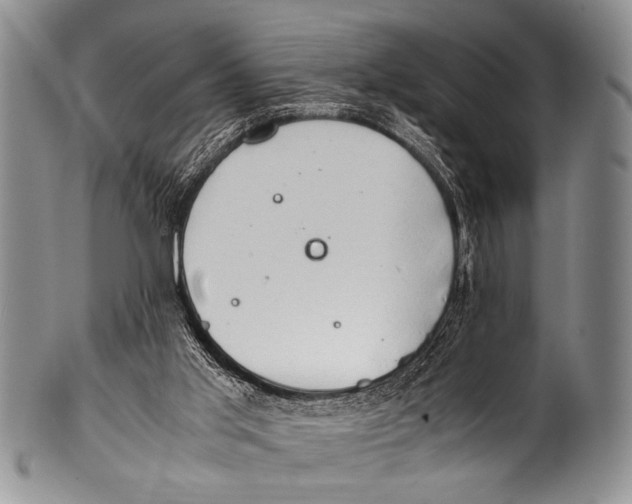 X0000100340013200806261338