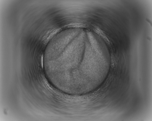 X0000100340014200806261338