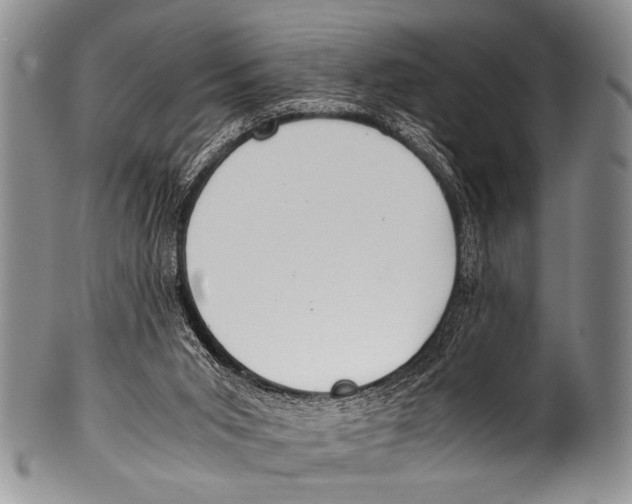 X0000100340015200806261338