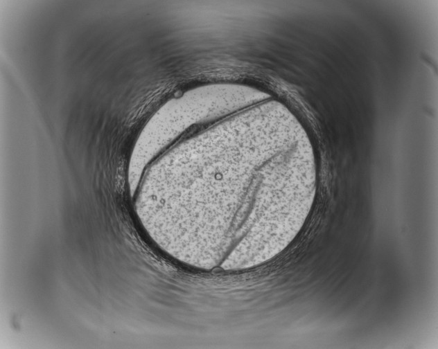 X0000100340017200806261338