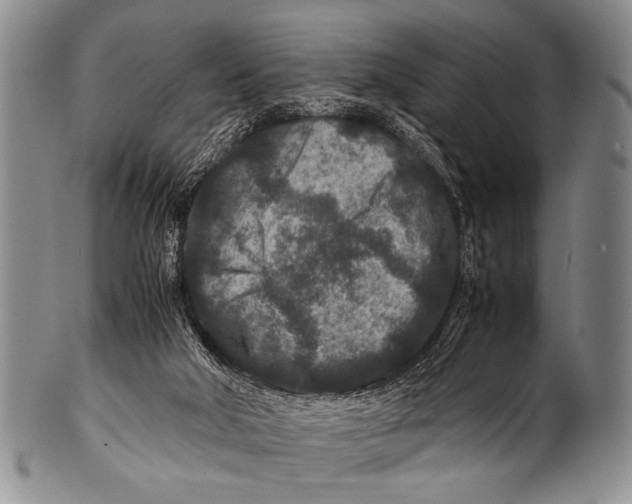 X0000100340018200806261338