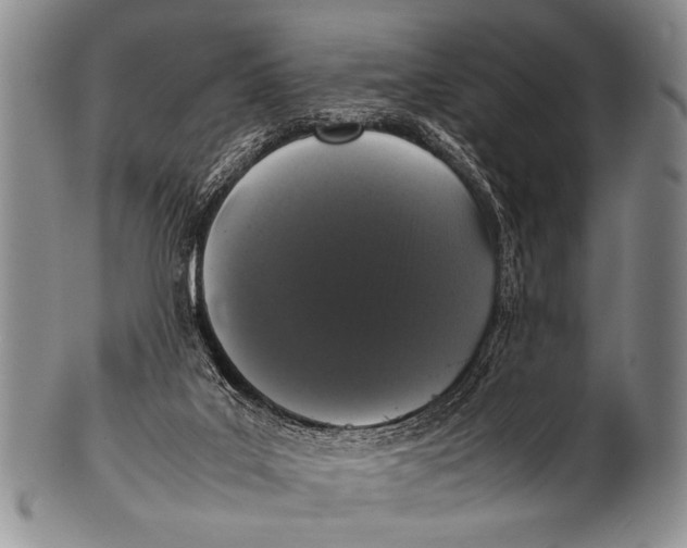 X0000100340019200806261338