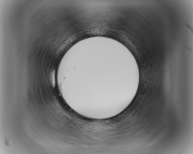 X0000100340020200806261338