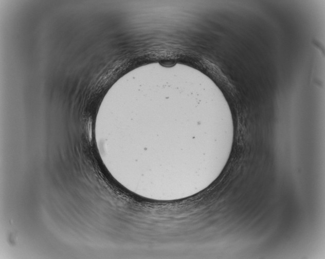 X0000100340021200806261338