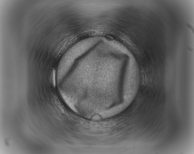 X0000100340022200806261338