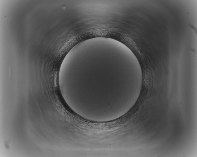 X0000100340023200806261338