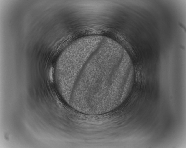 X0000100340026200806261338