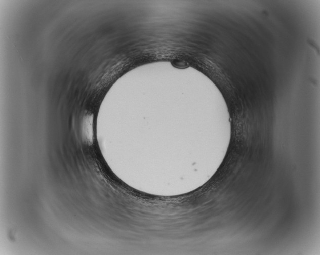 X0000100340028200806261337