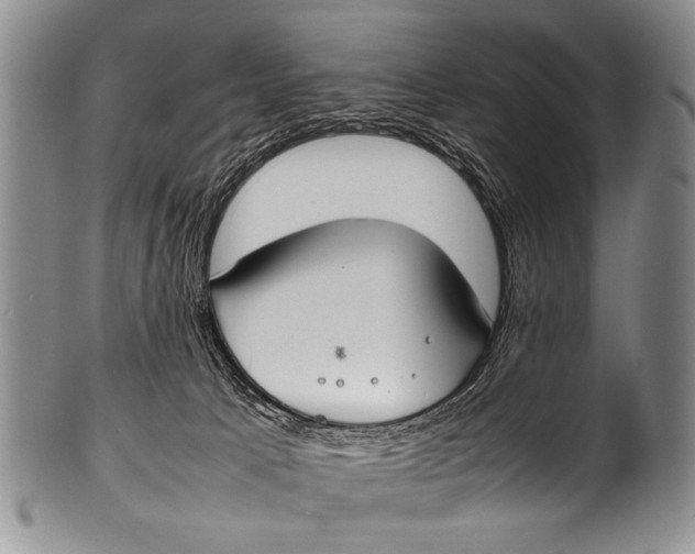 X0000100340033200806261337