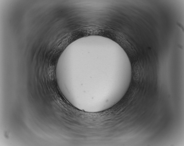 X0000100340034200806261337