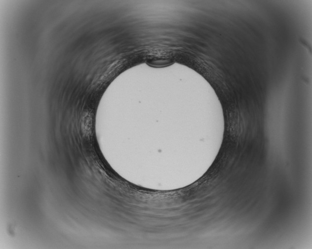 X0000100340036200806261337