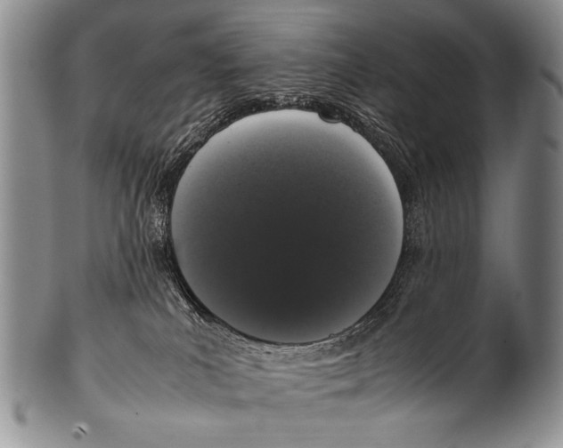 X0000100340039200806261337