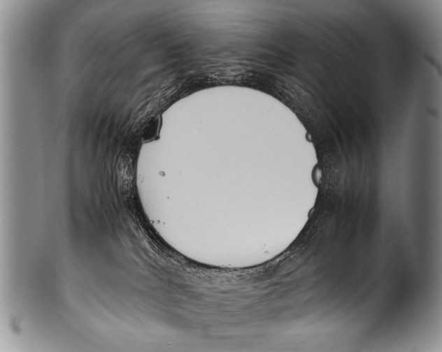 X0000100340040200806261337