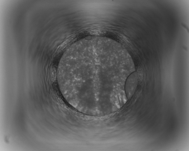 X0000100340043200806261337