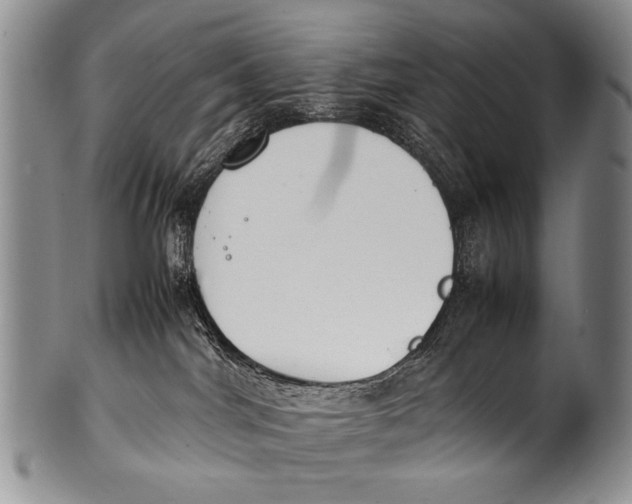 X0000100340044200806261337