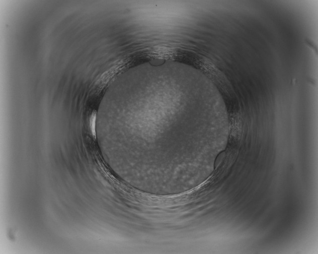 X0000100340047200806261337