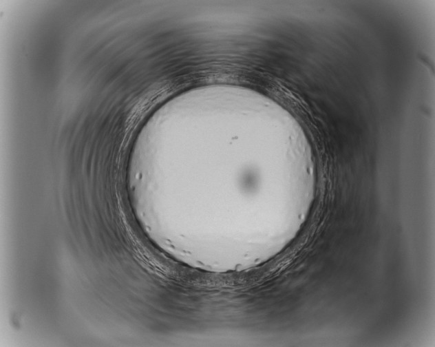 X0000100340049200806261336